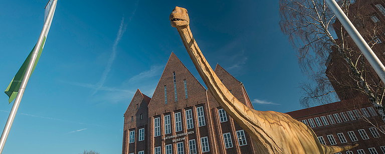 HOBA - Projekt Naturhistorisches Museum, Braunschweig